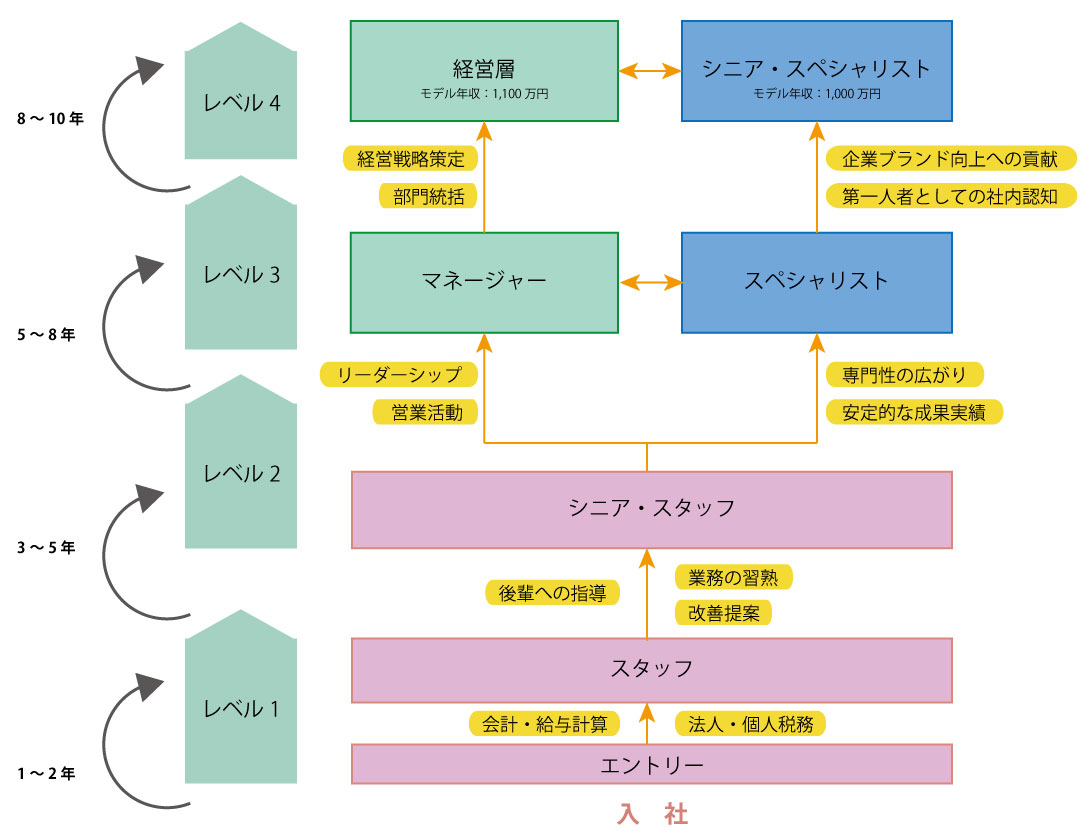 正社員のキャリアマップ